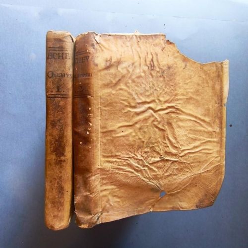 Quaresma de Sermones, para las Dominicas y Ferias Mayores,  con materiales para nuevos sermones, el Decreto del Santísimo Papa Benedicto XIII, que mande el modo de predicar a gusto de Dios, y provecho de las Almas; y una Carta de San Francisco de Sales, que lo enseña. 